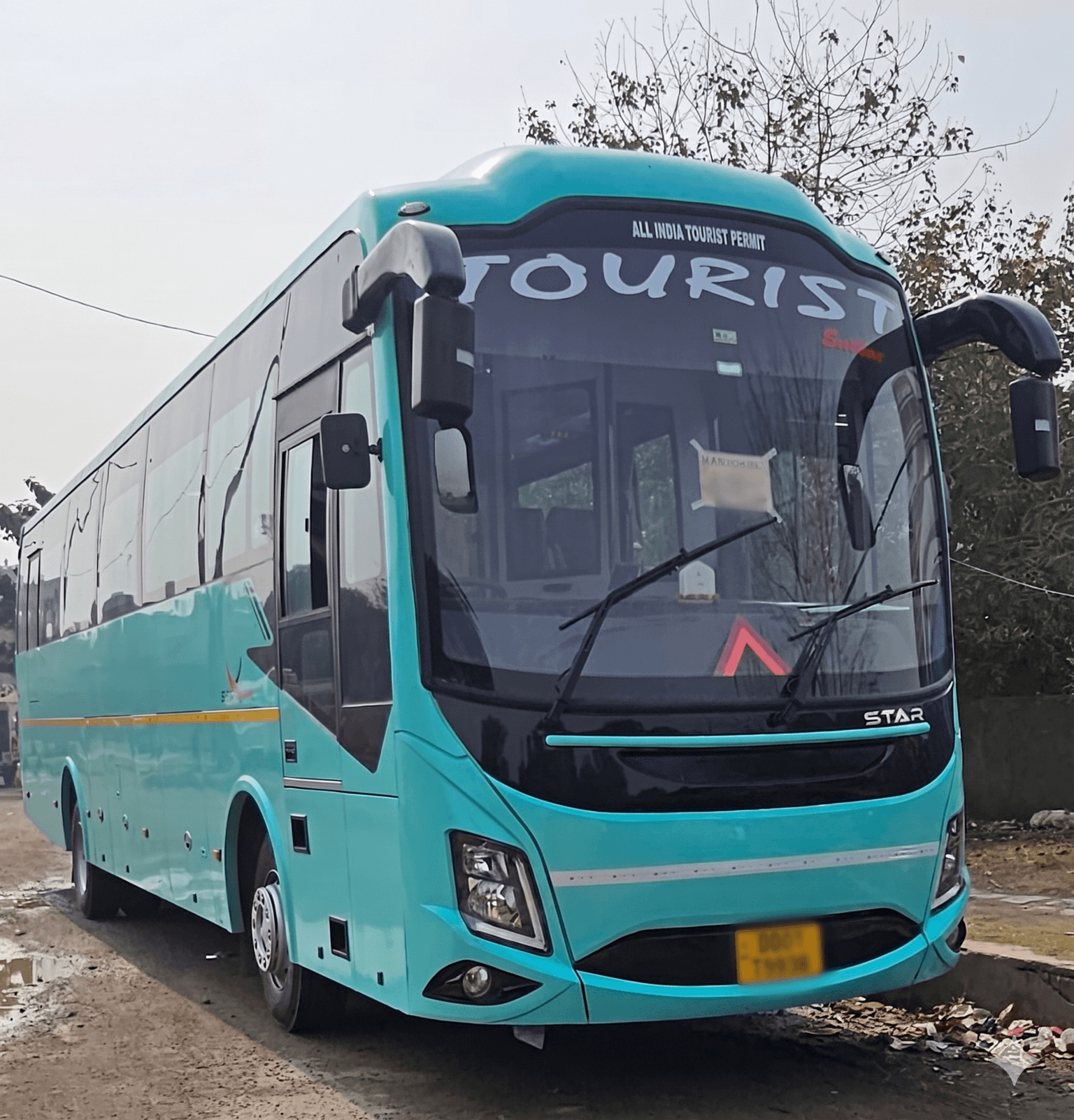 Luxury Buses 1