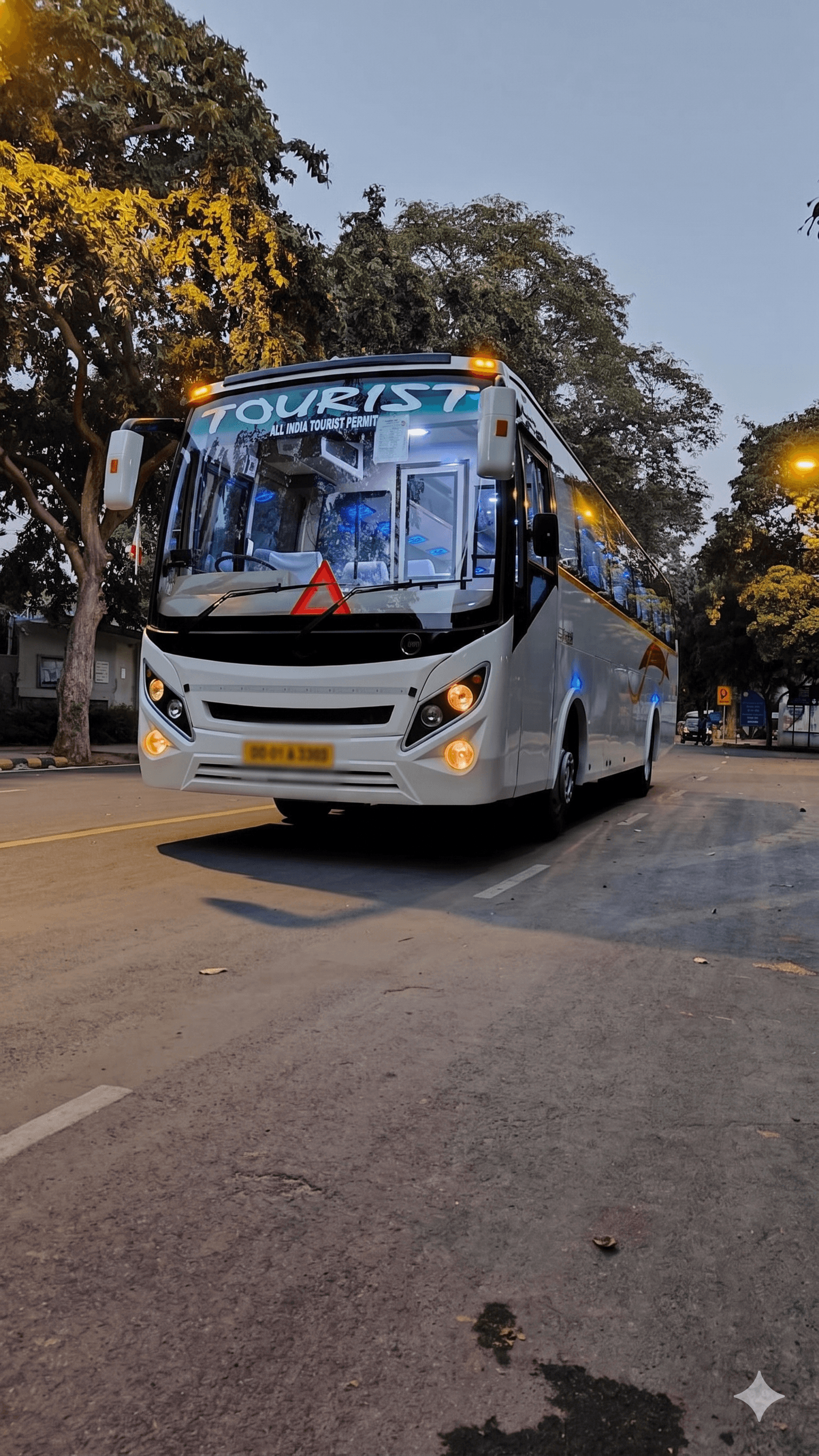 Luxury Buses 10