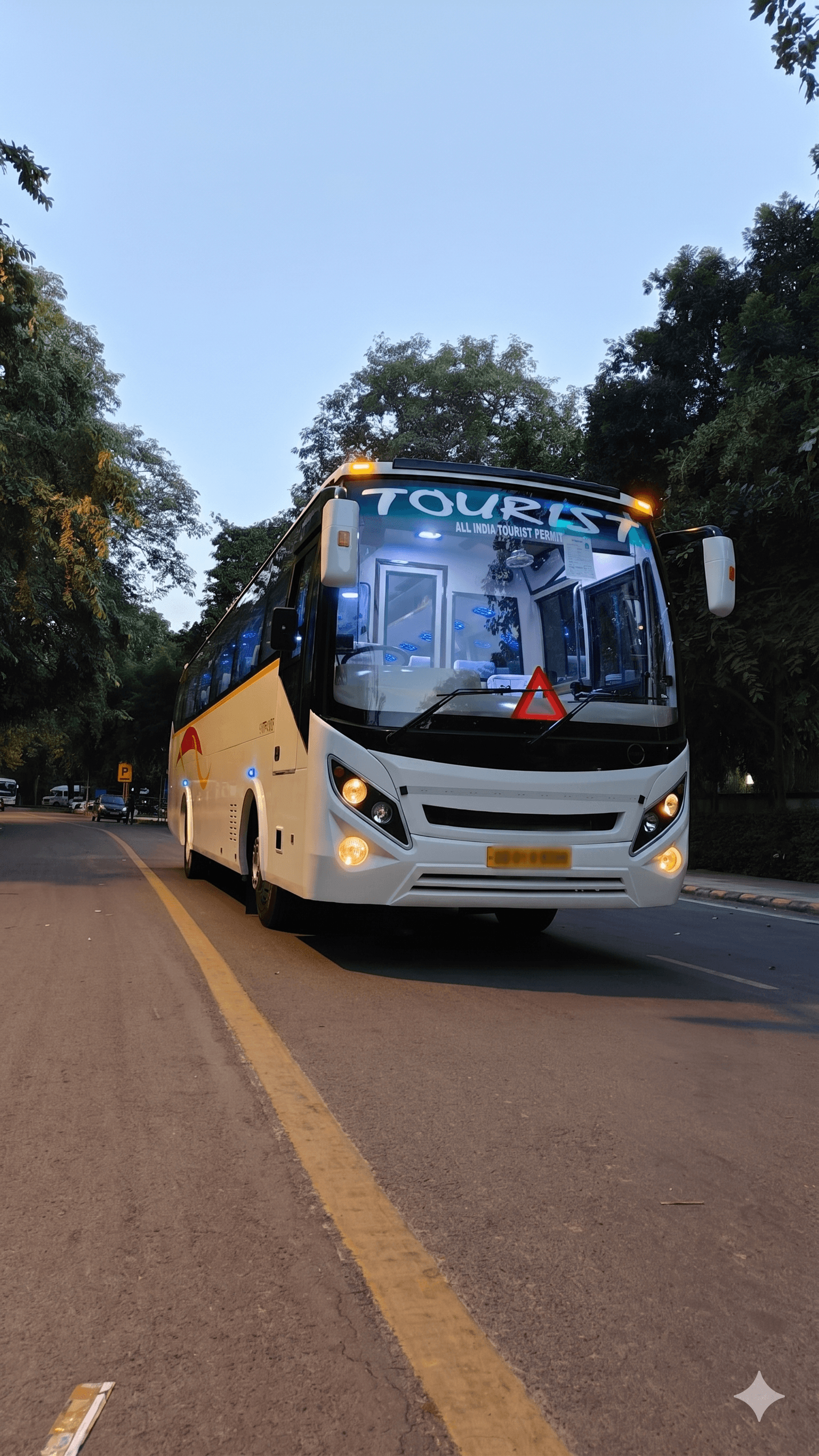 Luxury Buses