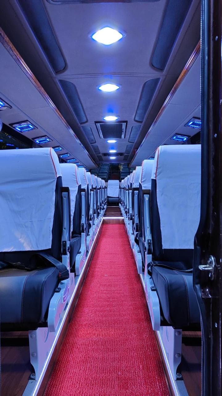 Luxury Buses 12