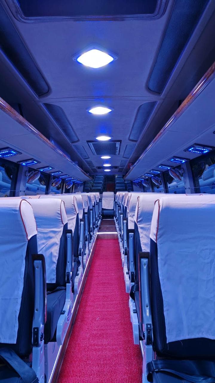 Luxury Buses 13