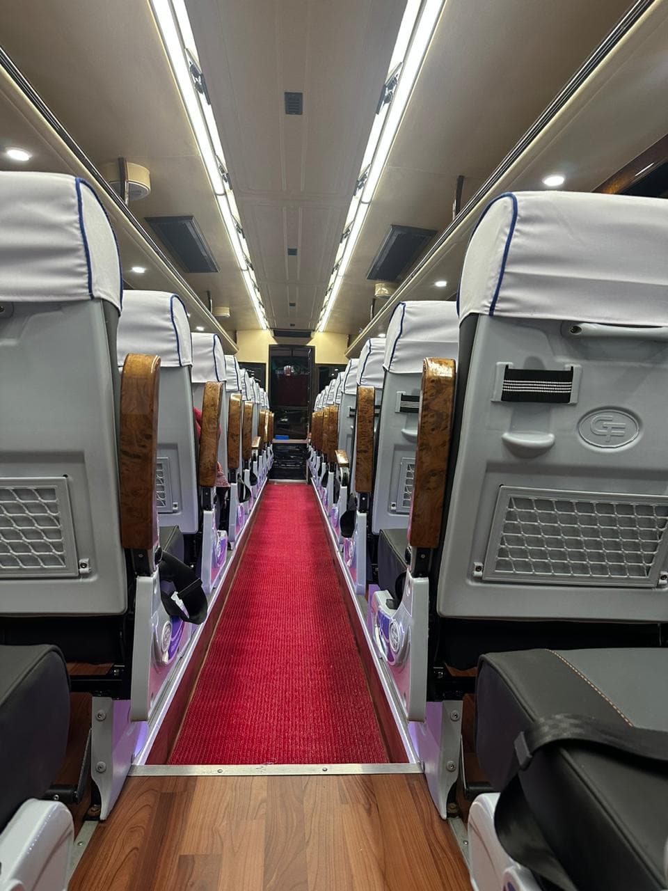 Luxury Buses 7