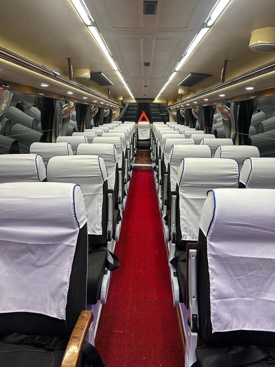 Luxury Buses 8